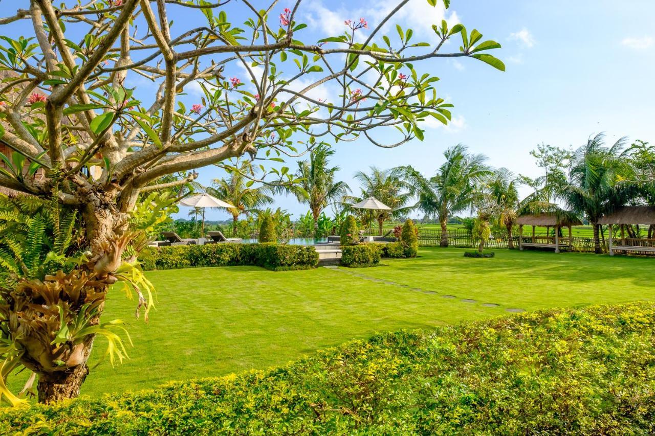 Canggu Wooden Green Paradise Exterior photo